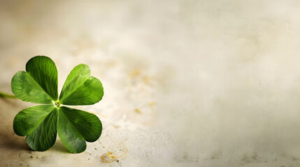 Lucky four leaf clover background, background for text and presentations, luck - obrazy, fototapety, plakaty