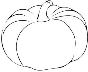 illustration of an pumpkin