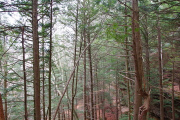 Whispering Cave, Hocking Hills State Park, Ohio