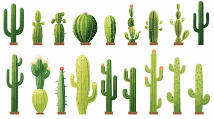 cactus plants green wood nature - obrazy, fototapety, plakaty
