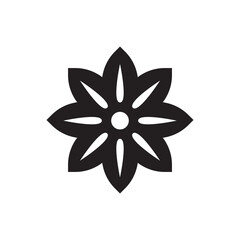 Anise star icon design, isolated on white background, vector illustration
