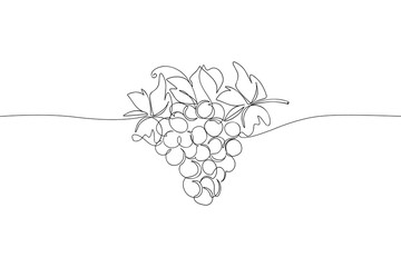 Bunch of grapes continuous one line drawing. Abstract linear organic berries for wine logo design, minimalist vineyard symbol. Vector illustration