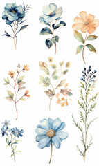 Fototapeta na wymiar Set of six watercolor floral illustrations.