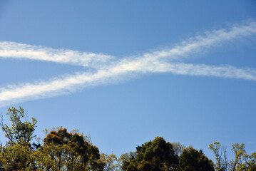 Obraz premium 飛行機雲