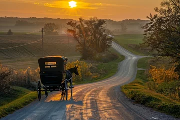 Fotobehang Amish Buggy at Sunrise on rural Indiana road with shadows © Aliaksandr Siamko