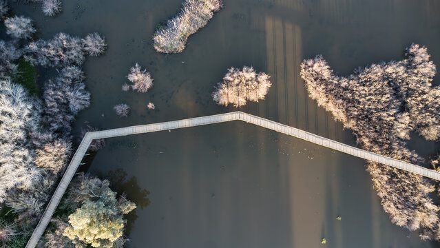 Fotos De Naturaleza Y Paisajes En Un Lago 