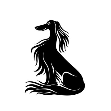 Afghan Hound Vector Logo
