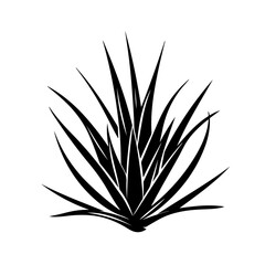 Agave Plant Vector Logo