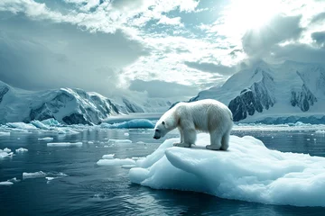 Fotobehang furious polar bear in the arctic © Jorge Ferreiro