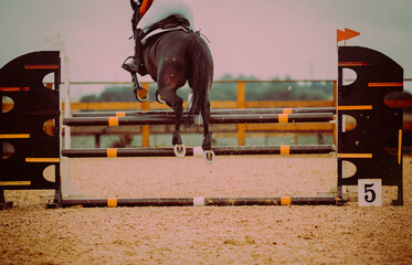 A rear view of a bay horse jumping over a high obstacle during a show jumping competition on a...