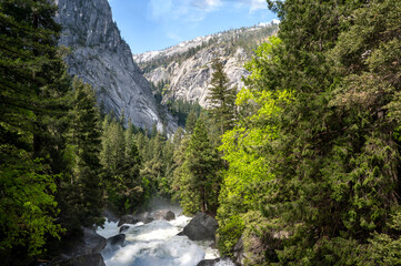 Fototapeta na wymiar Yosemite river in Summer 2023, Yosemite National Park, California
