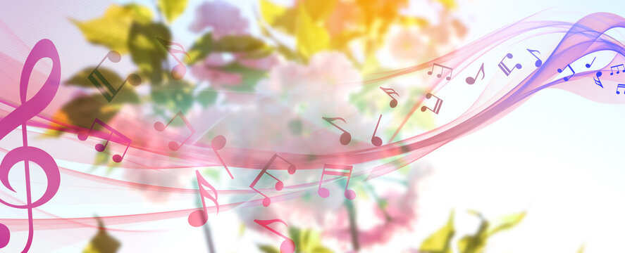 Beautiful blossoming tree branches on sky background