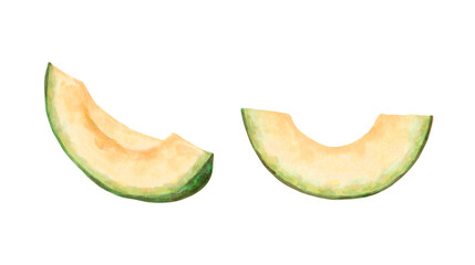 Avocado fruit slices.Watercolor and marker illustration.Hand drawn isolated on white background art.Botanical vegetable sketch for food packaging design or recipes.Cook book,kitchen print.