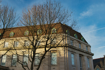 Classic European building facade with bare tree branches against a clear blue sky at dusk.