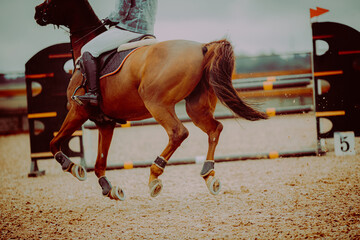 A fast-moving sorrel horse, with a rider on its back, gallops during a show jumping contest near the jump barrier. This is a scene from an equestrian sport, where horse riding is a popular activity.