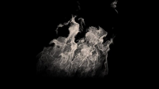 Wispy smoke in motion inside sphere. perfect for logos and overlay effect. gas, smoke, fluid isolated on black background. Plasma, mist, chemical effect. Abstract shapes. 3D render 4K loop