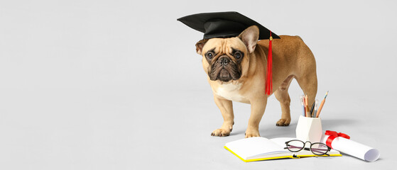 Cute dog in graduation hat, book, diploma and stationery on light background with space for text
