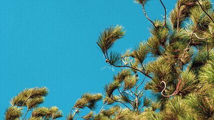 Paisajes de Zapatoca-Santander(Colombia)