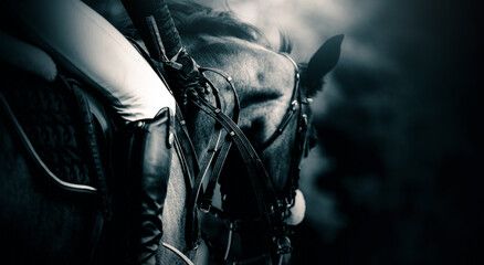 A black and white photograph of a rider on horseback. Equestrian sports and riding horses.