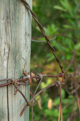 Rusty barbed wire wrapped around a wooden pole making a fence. 