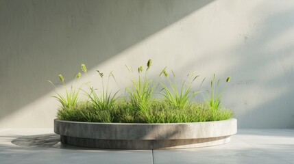 Podium with grass, rustic soil, generative ai