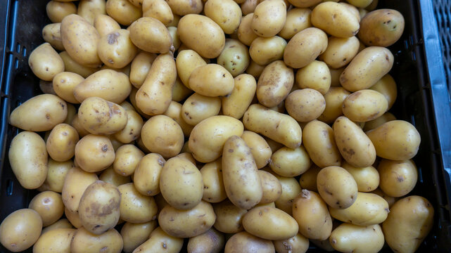 petites pommes de terre grenailles 