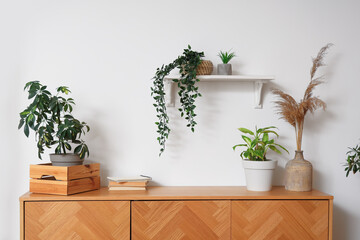 Interior of cozy room with plants, drawers and shelf