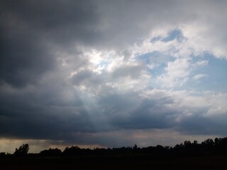 Obraz premium best nature wallpaper in 2024