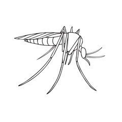 Vector hand drawn doodle sketch outline mosquito isolated on white background