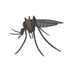 Vector hand drawn doodle sketch colored mosquito isolated on white background