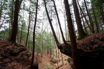 Obraz premium Whispering Cave, Hocking Hills State Park, Ohio