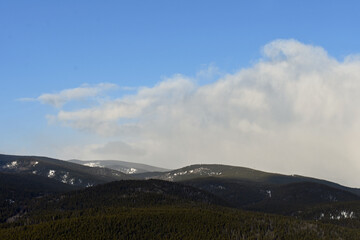 Snowy Rocky Mountain Pine Forest