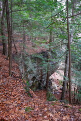 Obraz premium Whispering Cave, Hocking Hills State Park, Ohio