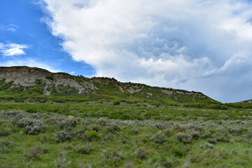 Colorado Landscapes in Early Summer
