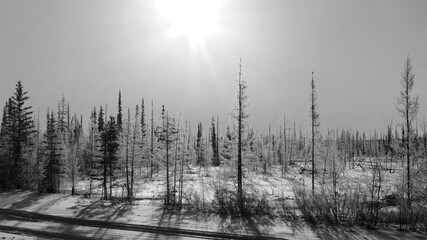 Sunny day in Northwest Territories in black and white