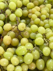 bunch of grapes