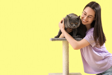 Young woman with cute British Shorthair cat on pet house against yellow background © Pixel-Shot