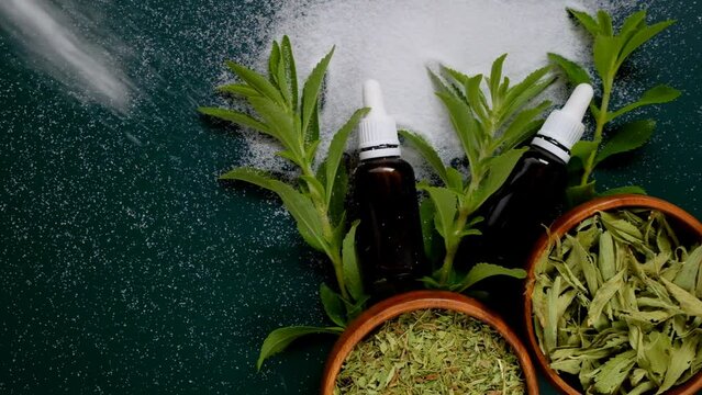 Stevia plant. Dry, liquid and powder stevia on a dark green background.Stevia extract liquid and stevia powder with green leaves on dark green background.Alternative Low Calorie Vegetable Sweetener.