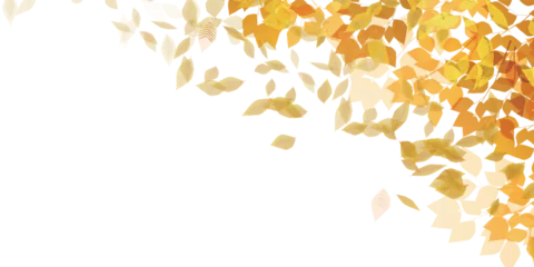 Rolgordijnen 紅葉　葉　秋　背景  © J BOY