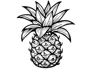 pineapple on white background. line art outlines