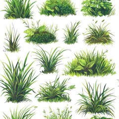 cartoon grass in a detailed painted style, white background