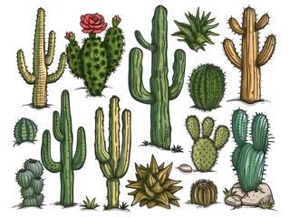 Zelfklevend behang Cactus desert cactus, with warm vintage colors on a white background