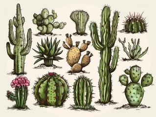 Glasschilderij Cactus desert cactus, with warm vintage colors on a white background