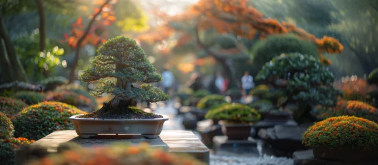 Behangcirkel close up of a bonsai tree in beautiful Japanese garden, blurred background with people  © Favio