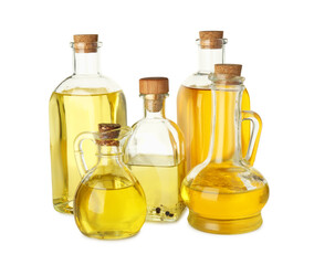 Vegetable fats. Glassware of different cooking oils isolated on white