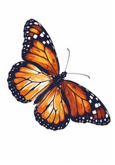 Fototapeta na wymiar Realistic butterfly with orange and black colored wings