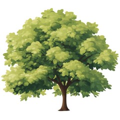 Green tree isolated on white background, watercolor illustration good quality