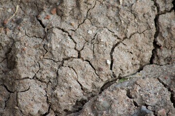 Dirt