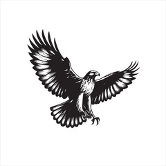 flying hawk silhouette on white vector