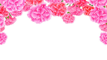 カーネーションのフレーム　背景素材　飾り枠　見出し　表紙　ブーケ　おしゃれ　エレガント　シンプル　白背景　透過　16:9